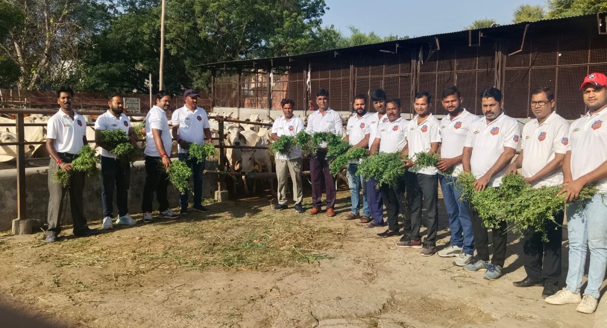 WhatsApp Image 2025-09-19 at 15.20.19_a97f185d